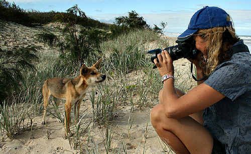 Controversial photographer Jennifer Parkhurst will share her side of the dingo feeding debate on ABC TV. Controversial photographer Jennifer Parkhurst will share her side of the dingo feeding debate on ABC TV.